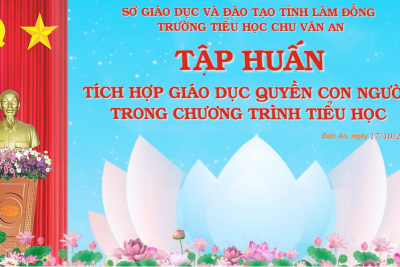 Tập huấn chuyên môn: Tích hợp giáo dục quyền con người trong chương trình tiểu học