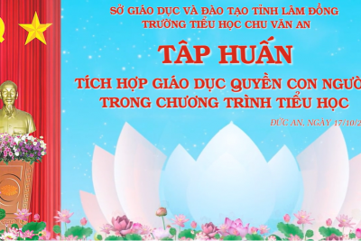 Tập huấn chuyên môn: Tích hợp giáo dục quyền con người trong chương trình tiểu học