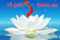 Tổ quốc trong em
