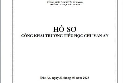 Hồ sơ công khai