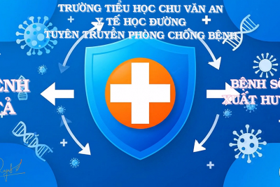 Góc tuyên truyền: Phòng chống bệnh tả và bệnh sốt xuất huyết