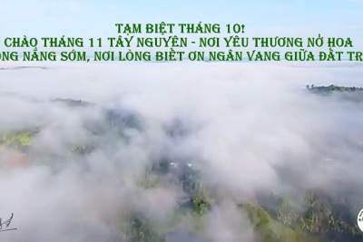 Tạm biệt tháng 10! Chào tháng 11 Tây Nguyên – Nơi yêu thương nở hoa trong nắng sớm, nơi lòng biết ơn ngân vang giữa đất trời!