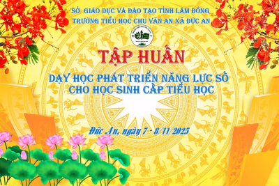 Sở Giáo dục và Đào tạo tập huấn trực tuyến chuyên đề “Dạy học phát triển năng lực số cho học sinh cấp tiểu học”
