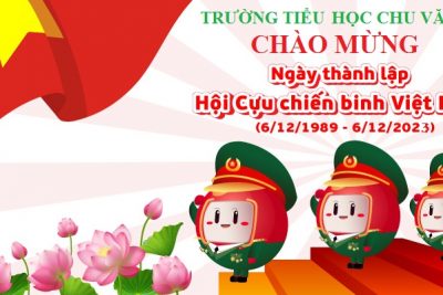 Chào mừng kỷ niệm ngày thành lập Hội Cựu chiến binh Việt Nam 12/06