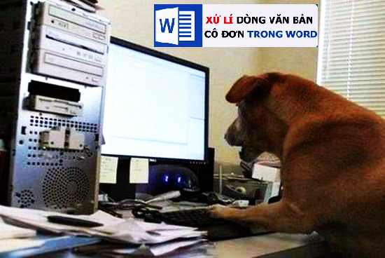 Xử lý dòng văn bản đơn lẻ trong word